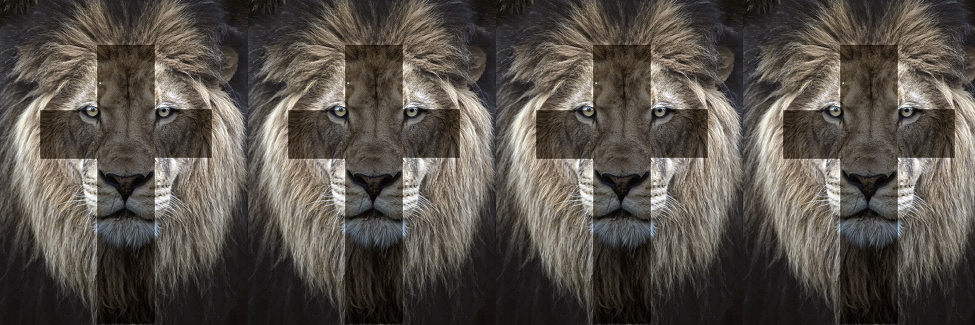 klaaveens's profile banner image
