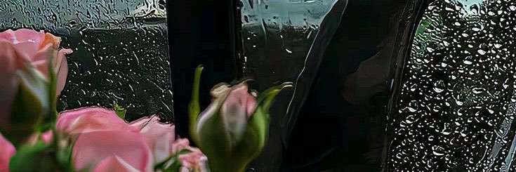 Krnval11's profile banner image