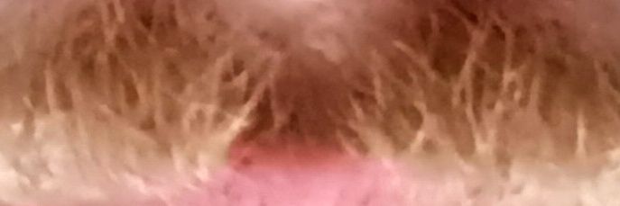dreezn198's profile banner image