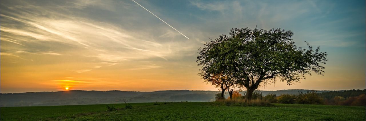 JorgeBernabe's profile banner image