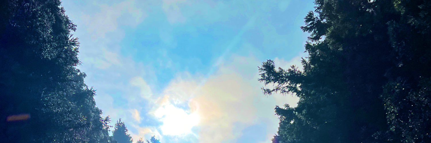 Nat22Yuu's profile banner image