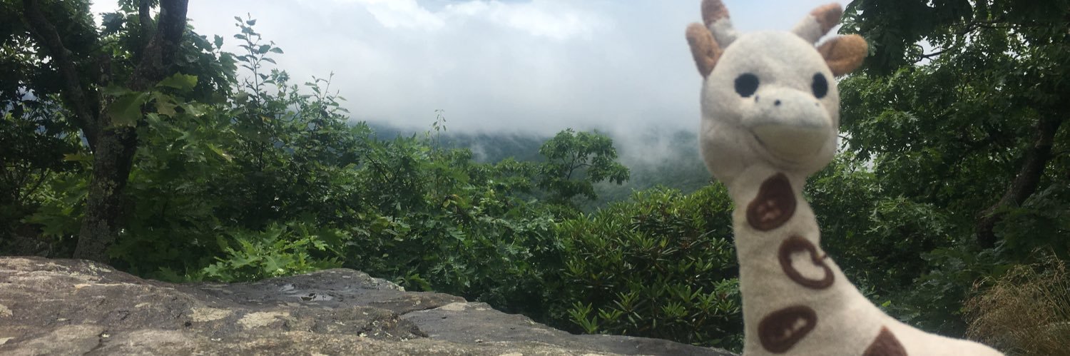 Christopher Whatley banner