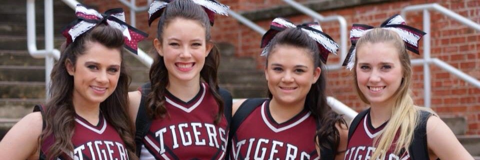 hanson_sara's profile banner image