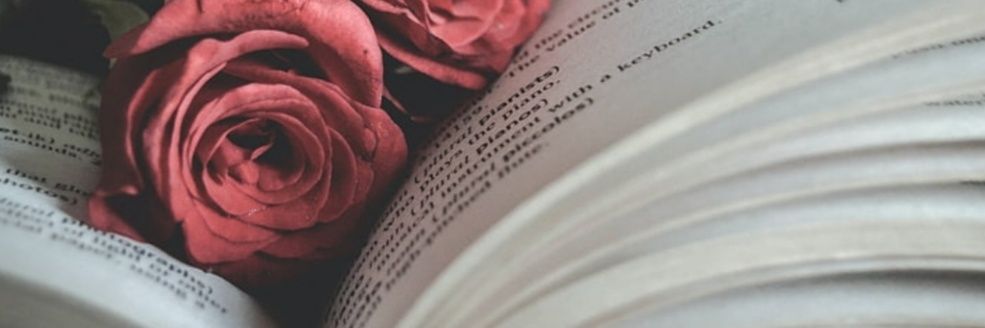 elenag_97's profile banner image