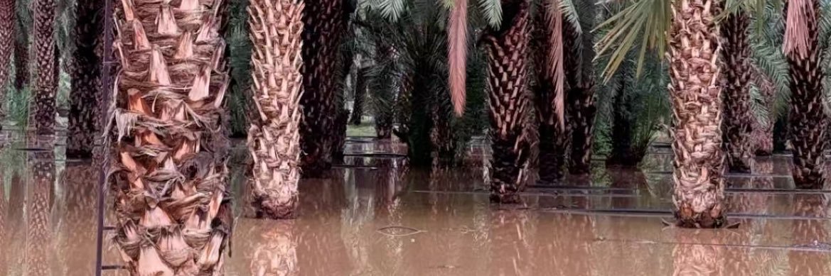 صباح الليل banner