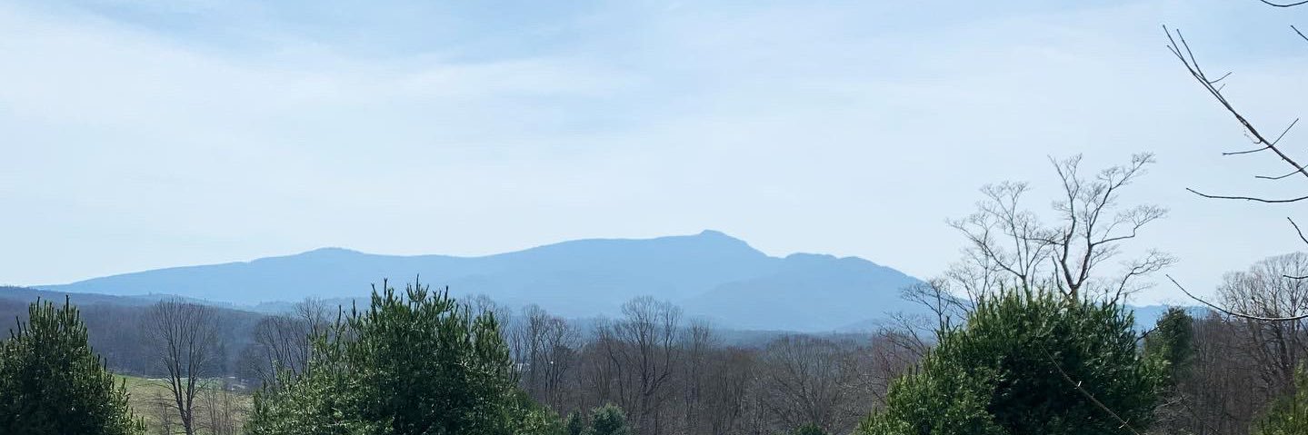 MeredithDeily's profile banner image