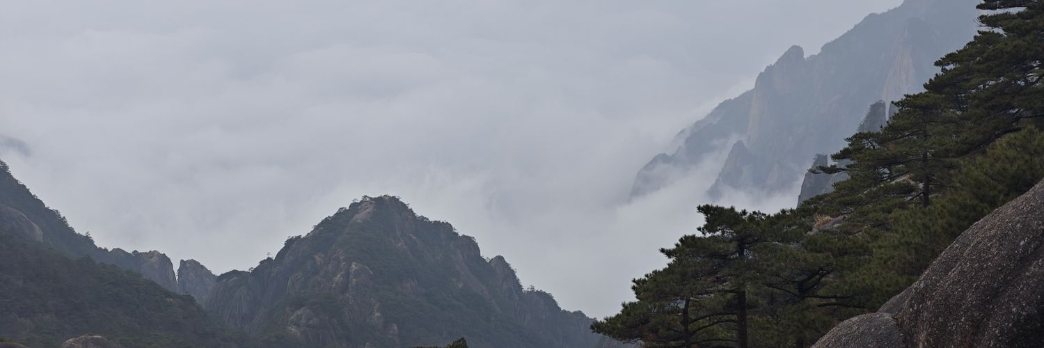 ffqiao's profile banner image