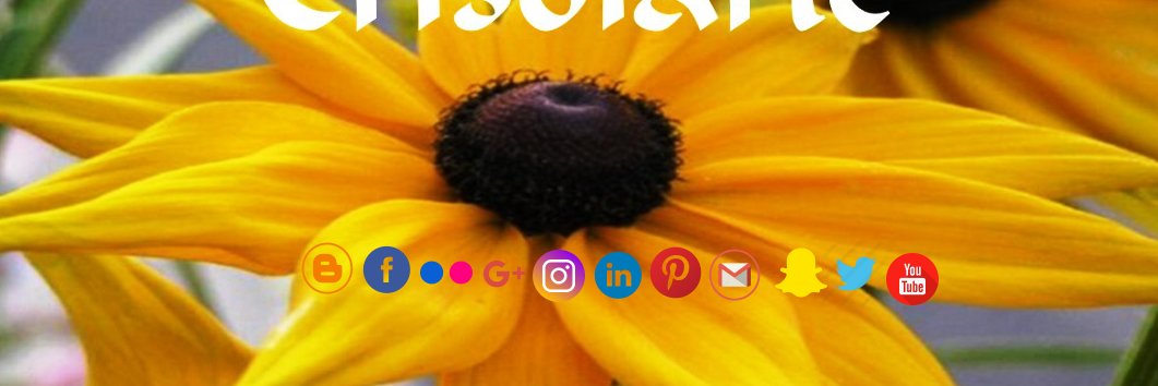 crisoles07's profile banner image