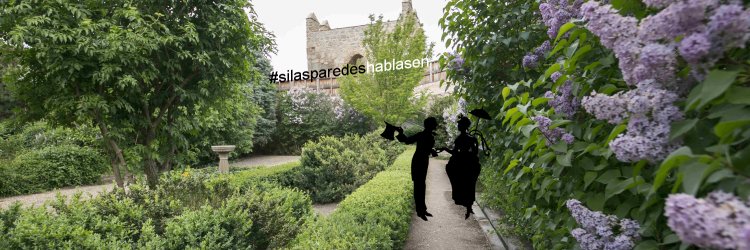 silasparedes_'s profile banner image