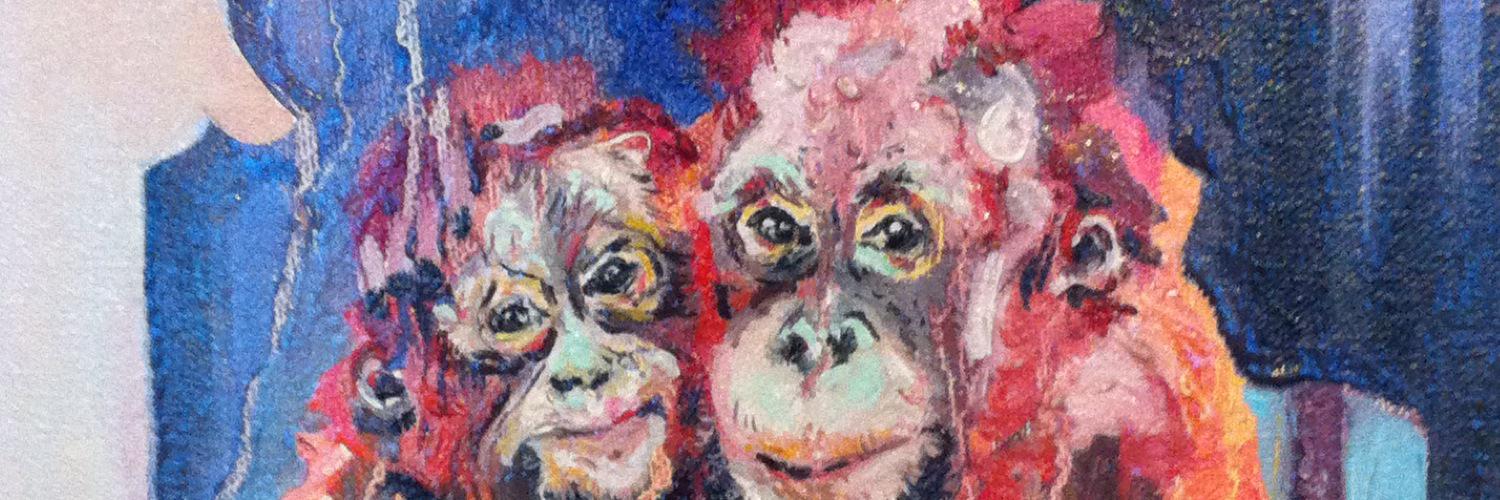 NAMcCartney's profile banner image