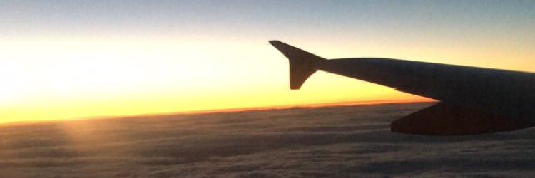 Amanda Beveridge banner