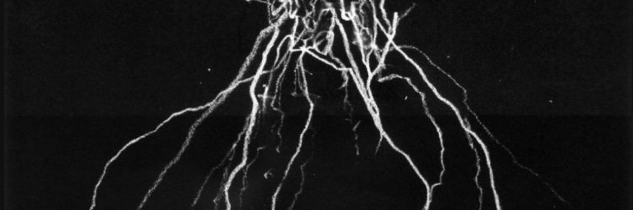 sp00kydime's profile banner image