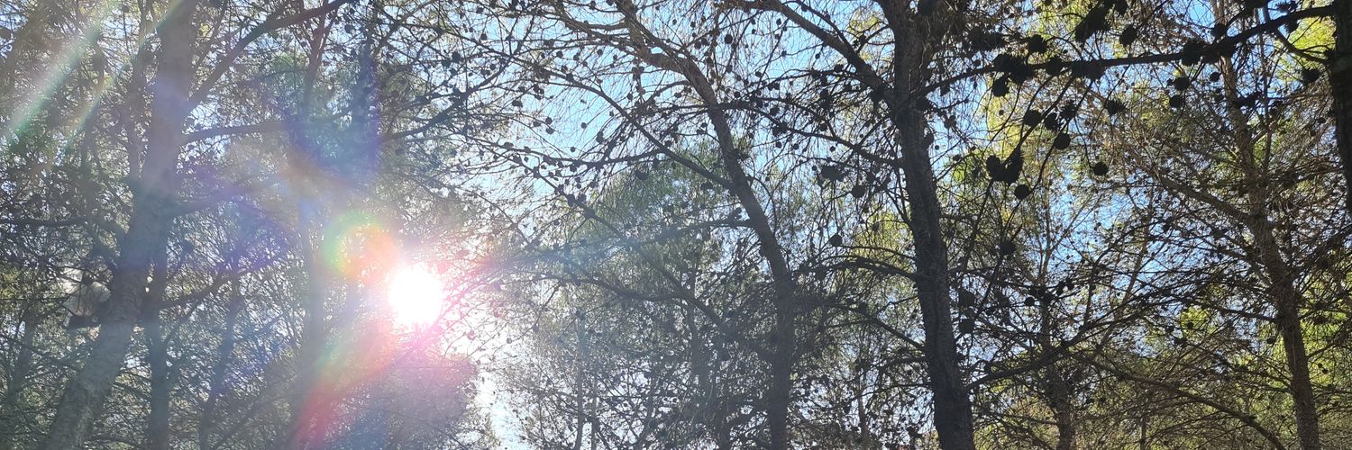 Franmarcle's profile banner image