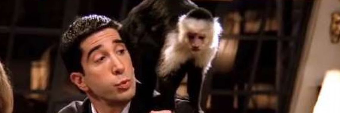 ross_geller13's profile banner image
