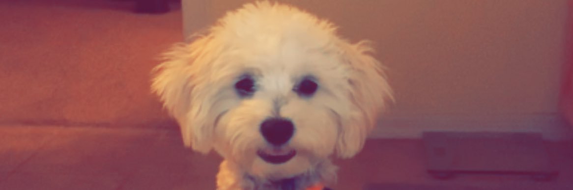 ChelseaMarie07's profile banner image