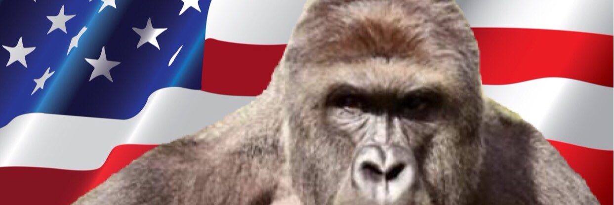 TroyTylerClark's profile banner image