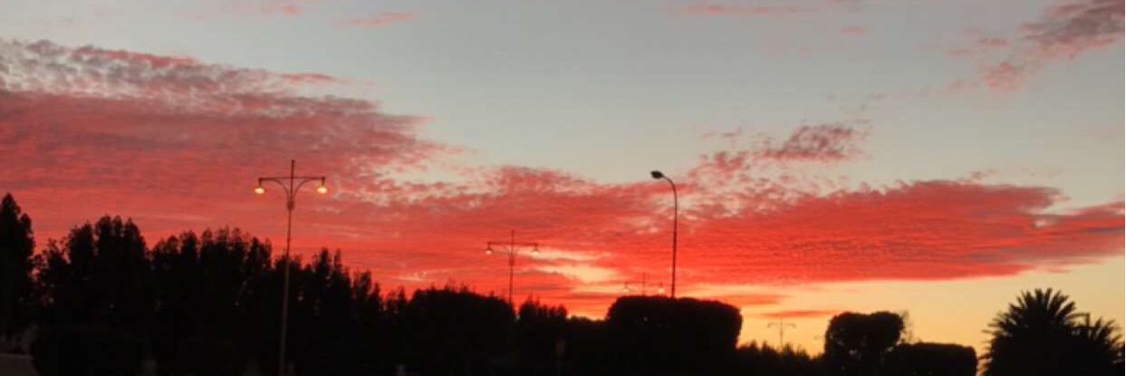 ali_amerr's profile banner image