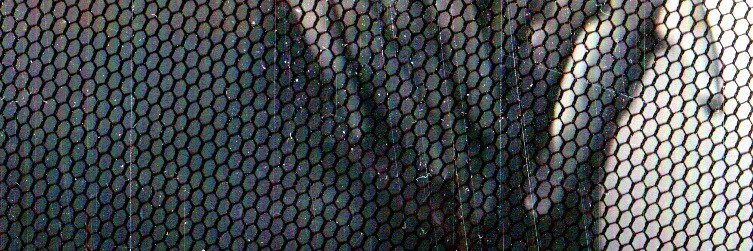 primaverarchive's profile banner image