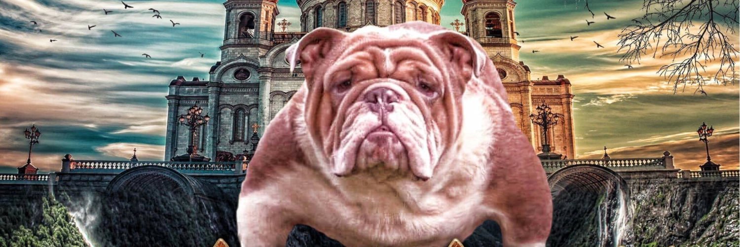 QuoteTheRealest's profile banner image