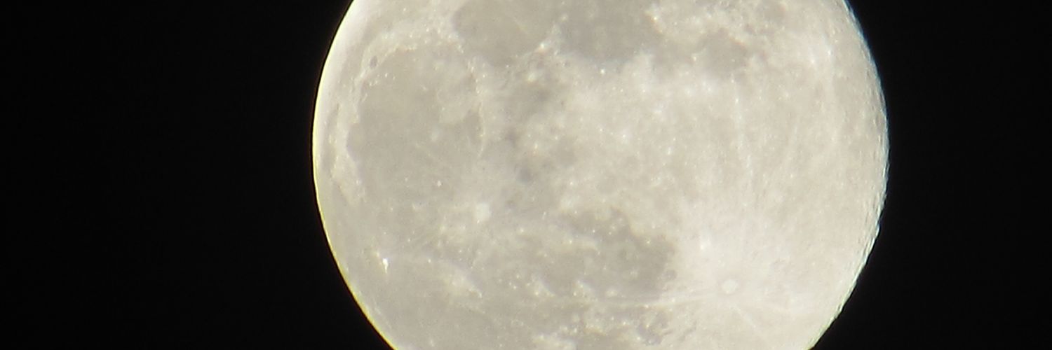 tomasesputo's profile banner image
