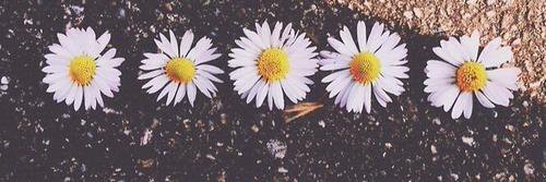 carlyforlove's profile banner image