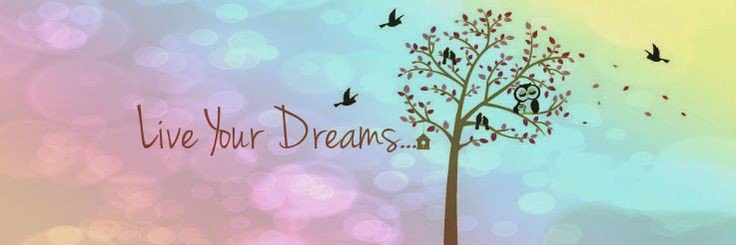 danibsb26's profile banner image