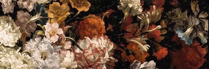 l_asoleda's profile banner image