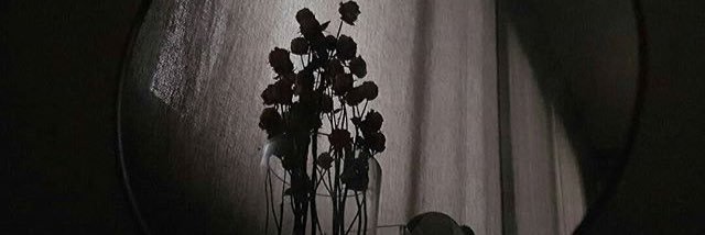cndrclla's profile banner image
