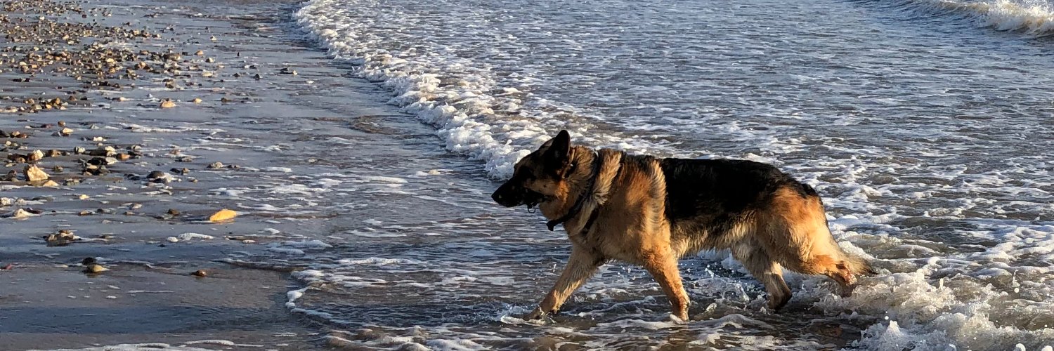 Andrea Graham banner