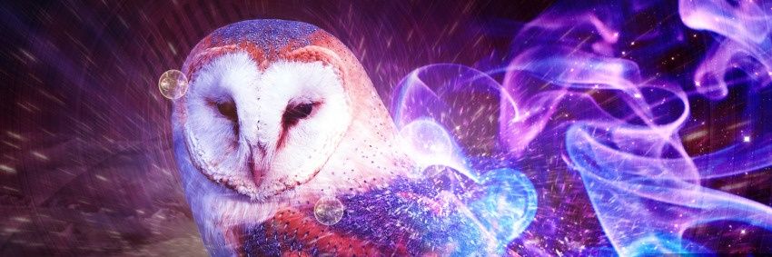 MadlyAmanda's profile banner image
