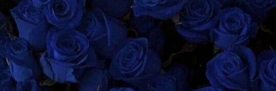taefromgrace_'s profile banner image