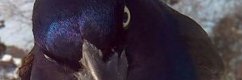 JVinuesav's profile banner image