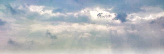 ume46482's profile banner image
