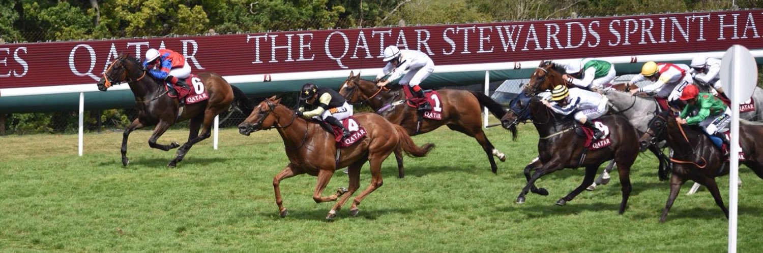 Johnnie Delta Racing banner