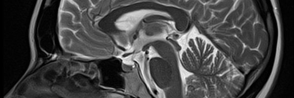 Carlos Navas ⌥ banner