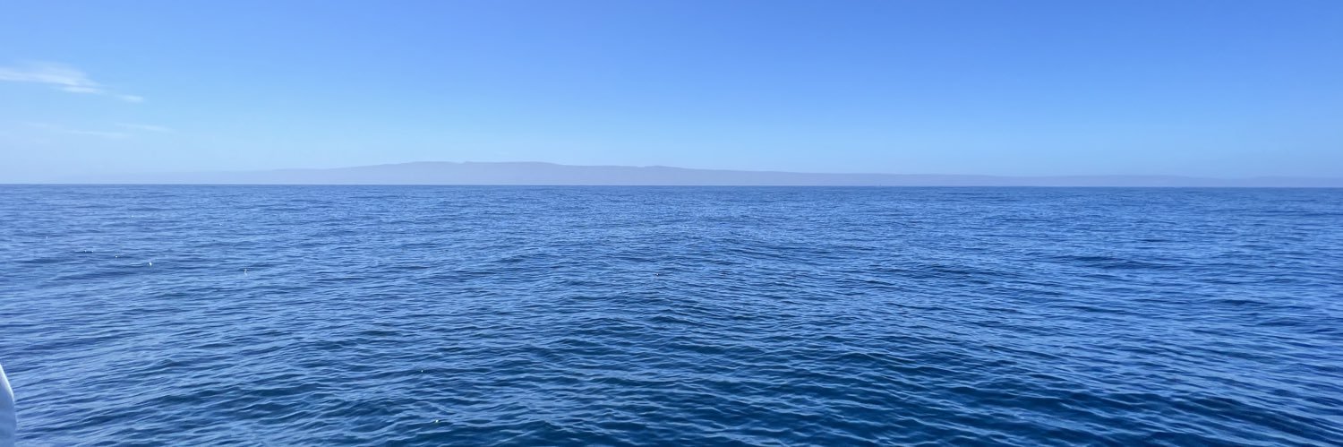 OCbadfish's profile banner image