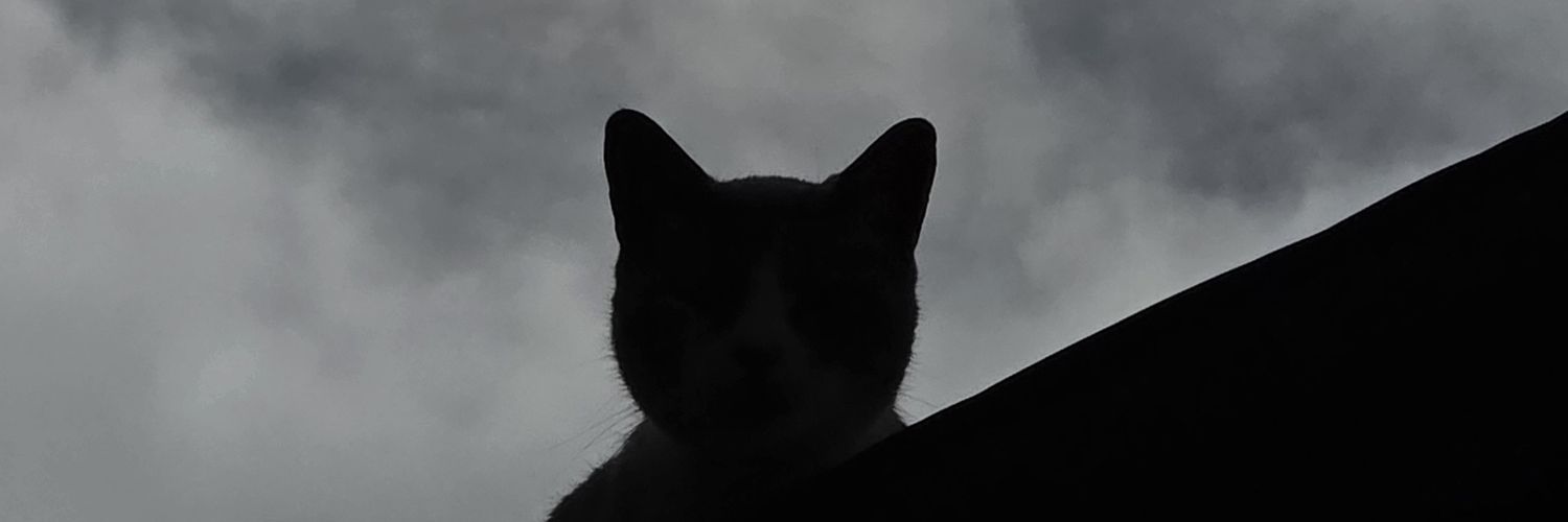 ceronesque's profile banner image