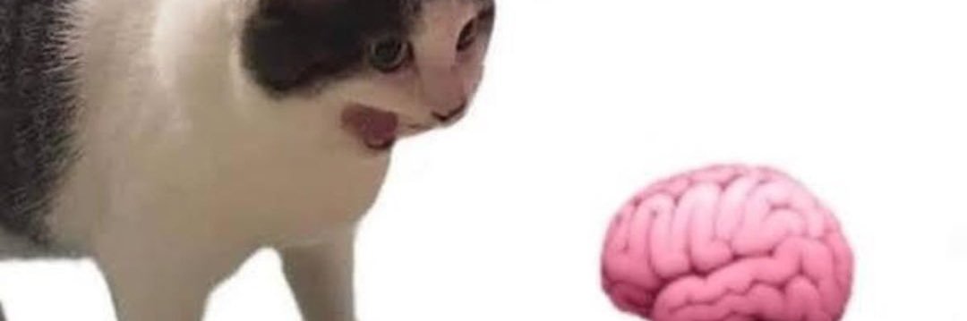 certifiedpanic's profile banner image