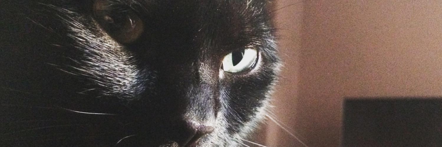 Grupi3luv's profile banner image