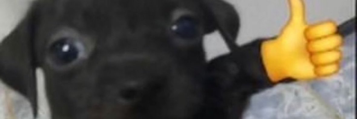 linosixx's profile banner image
