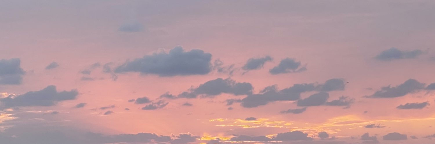 dodemo_e_'s profile banner image