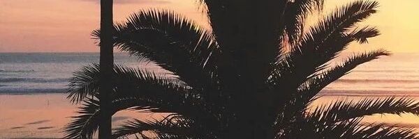 ju_lijus's profile banner image