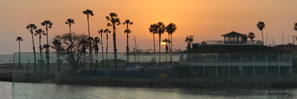 the_ones89's profile banner image
