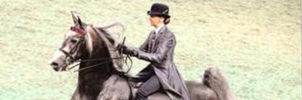 PHOEBESW Profile Banner