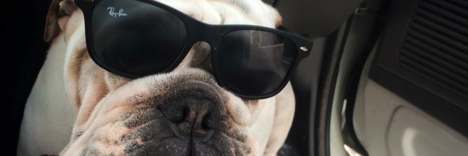 joseramirez1302's profile banner image