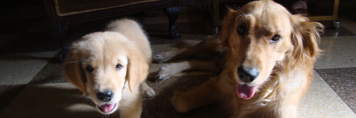 ruth_sky13's profile banner image
