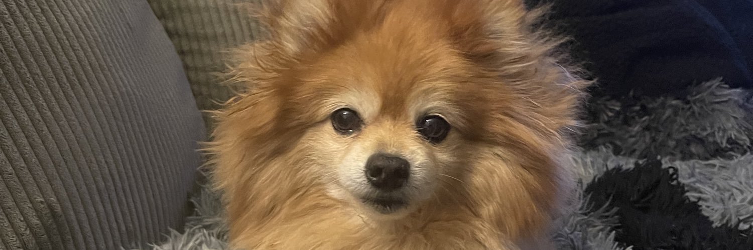 Beccaadairable's profile banner image
