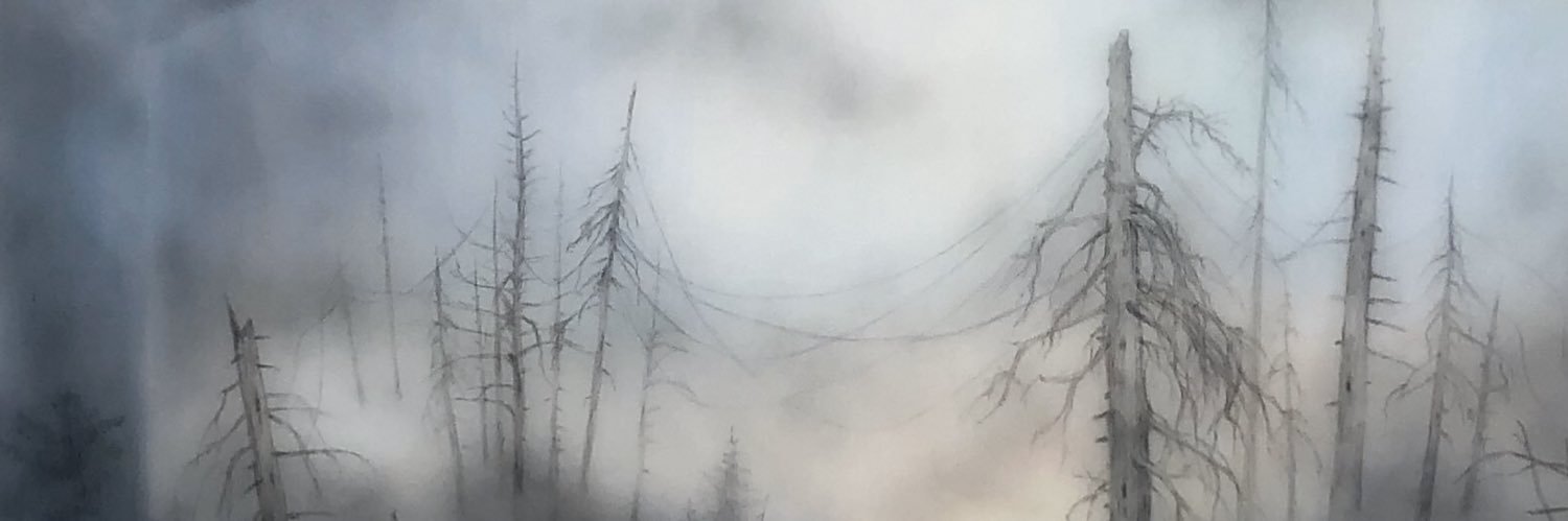 RaeVermeer's profile banner image