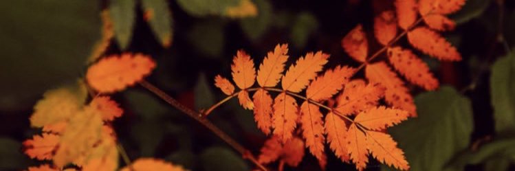 laegmz's profile banner image