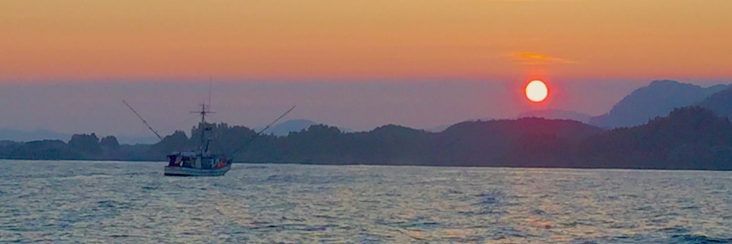 chandlercupp's profile banner image
